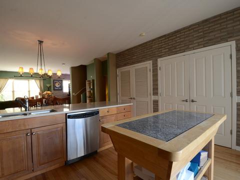 1210 W Grenshaw St, Chicago, IL 60607 photo 28