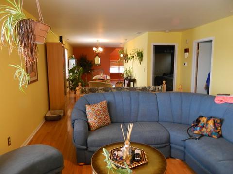 7440 W 56th St, Summit, IL 60501 photo 13