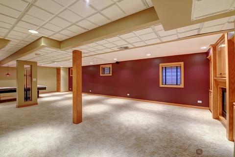 364 Timber Ridge Dr, Bartlett, IL 60103 photo 26