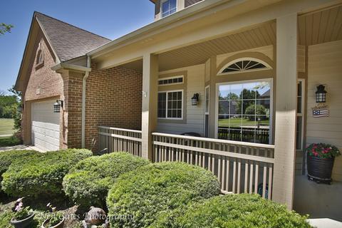 13558 Capista Dr, Plainfield, IL 60544 photo 29