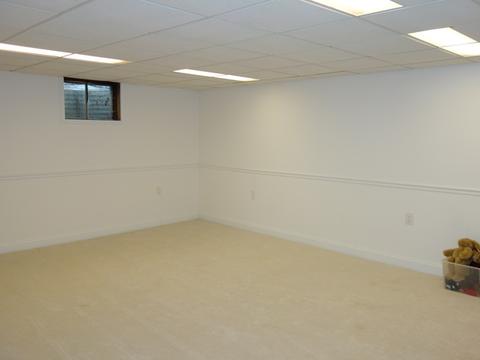 2 S521 Seneca Dr, Wheaton, IL 60189 photo 21