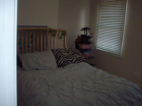 1188 Pointsetta Ln, Bartlett, IL 60103 photo 13