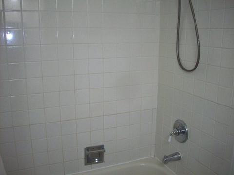 1188 Pointsetta Ln, Bartlett, IL 60103 photo 12