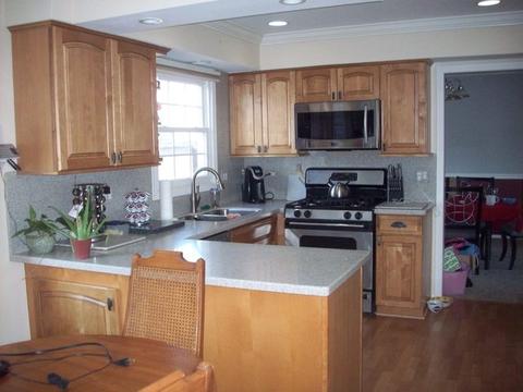 1188 Pointsetta Ln, Bartlett, IL 60103 photo 5