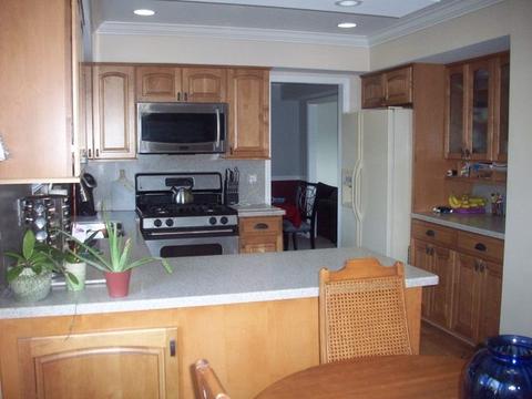 1188 Pointsetta Ln, Bartlett, IL 60103 photo 7