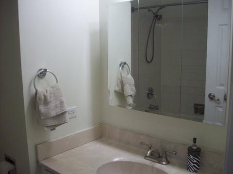 1188 Pointsetta Ln, Bartlett, IL 60103 photo 11