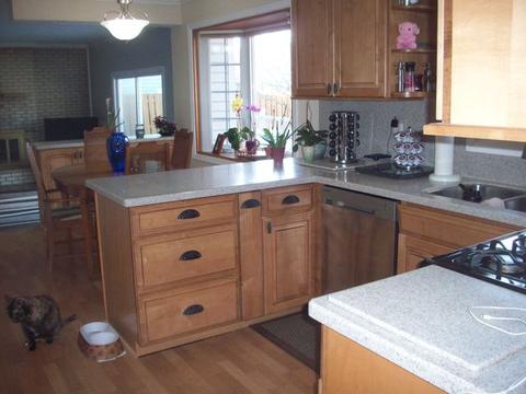 1188 Pointsetta Ln, Bartlett, IL 60103 photo 6