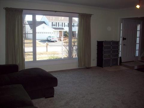 1188 Pointsetta Ln, Bartlett, IL 60103 photo 2