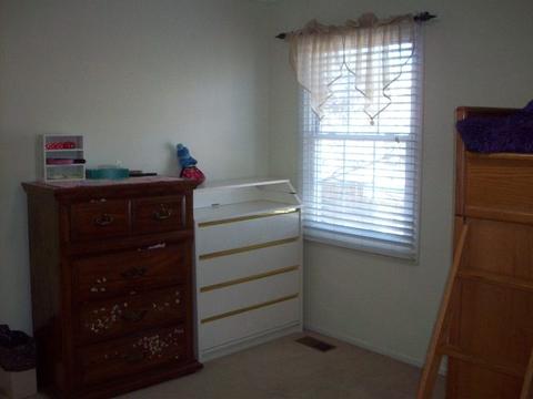 1188 Pointsetta Ln, Bartlett, IL 60103 photo 21