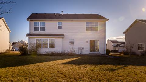 4520 W Jonquil Ln, Monee, IL 60449 photo 18
