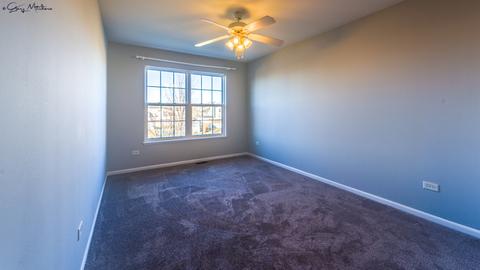4520 W Jonquil Ln, Monee, IL 60449 photo 12