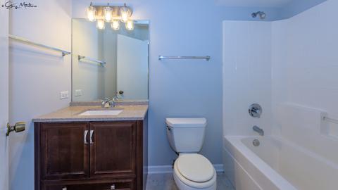 4520 W Jonquil Ln, Monee, IL 60449 photo 14