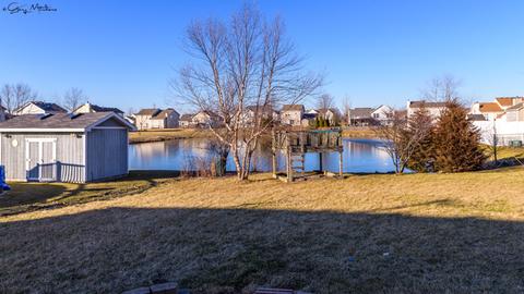 4520 W Jonquil Ln, Monee, IL 60449 photo 19