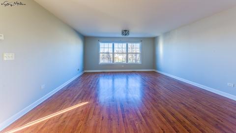 4520 W Jonquil Ln, Monee, IL 60449 photo 9