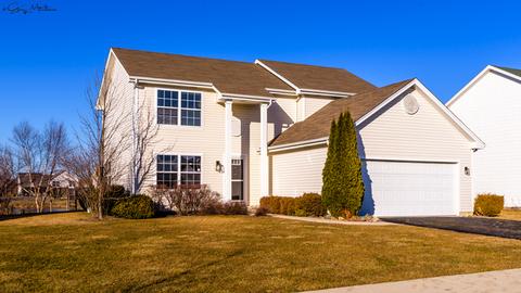 4520 W Jonquil Ln, Monee, IL 60449 photo 1