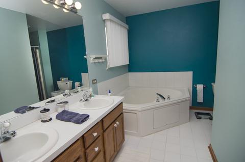 2706 Cedar Breaks Ct, Plainfield, IL 60586 photo 12