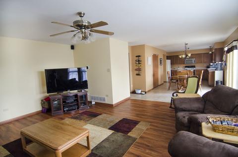 2706 Cedar Breaks Ct, Plainfield, IL 60586 photo 3