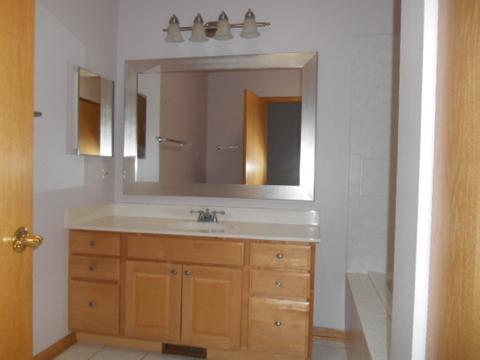21308 W Juniper Ln, Plainfield, IL 60544 photo 16