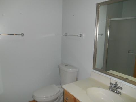 21308 W Juniper Ln, Plainfield, IL 60544 photo 19