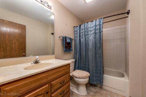 21315 Silktree Cir, Plainfield, IL 60544 photo 9