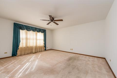 21315 Silktree Cir, Plainfield, IL 60544 photo 6