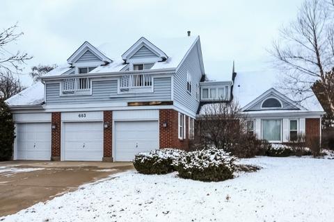 603 Hackberry Ct E, Buffalo Grove, IL 60089 photo 3