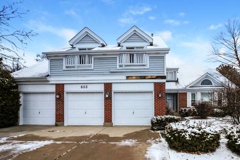 603 Hackberry Ct E, Buffalo Grove, IL 60089 photo 2