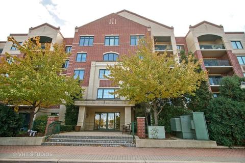 5 W Central Rd #212, Mount Prospect, IL 60056 photo 1