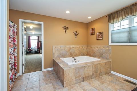 311 Pine St, Beecher, IL 60401 photo 11