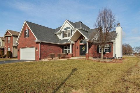 311 Pine St, Beecher, IL 60401 photo 1