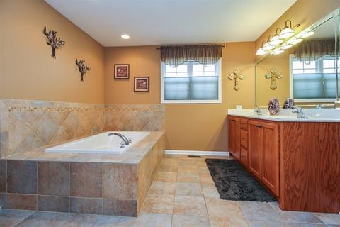 311 Pine St, Beecher, IL 60401 photo 10