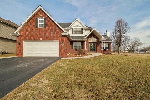 311 Pine St, Beecher, IL 60401 photo 20