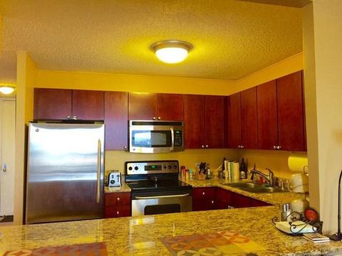 30 E Huron St #2805, Chicago, IL 60611 photo 5