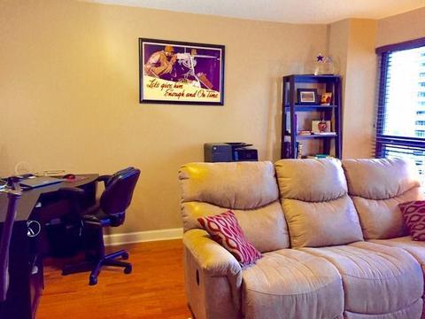 30 E Huron St #2805, Chicago, IL 60611 photo 10