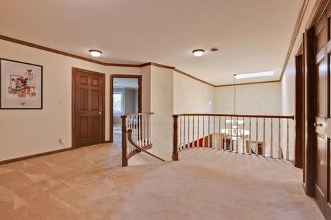 20708 Deerpath Rd, Deer Park, IL 60010 photo 19