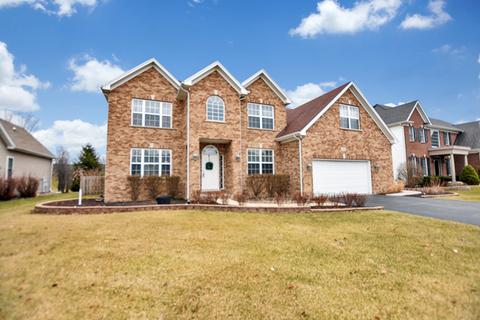 12541 Lily Ln, Plainfield, IL 60585 photo 1