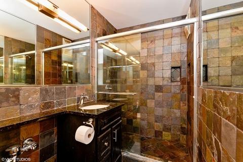 30 Elm St #20E, Chicago, IL 60611 photo 9