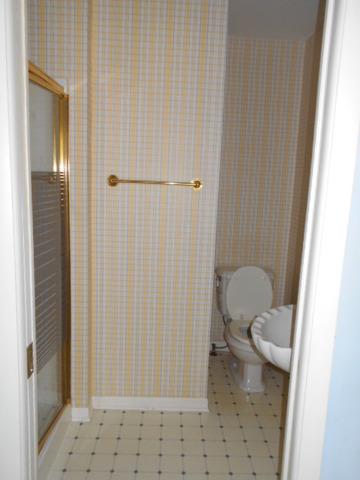910 N Scott St, Wheaton, IL 60187 photo 12