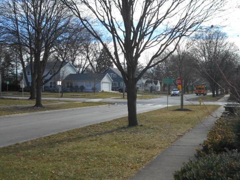 910 N Scott St, Wheaton, IL 60187 photo 4