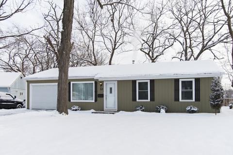 22 E Pine St, Streamwood, IL 60107 photo 1