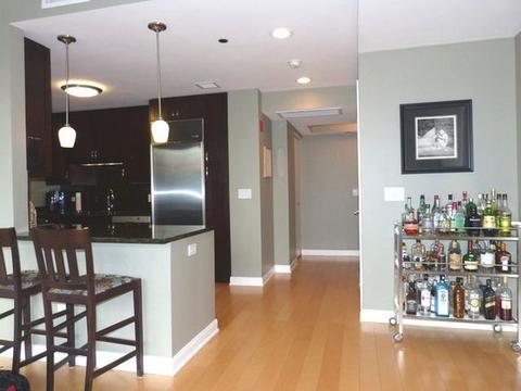 60 E Monroe St #3306, Chicago, IL 60603 photo 6