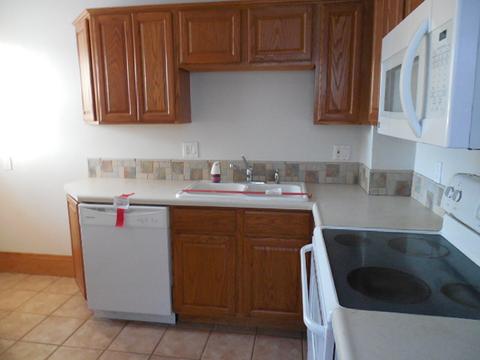 1133 S Myrtle Ave, Kankakee, IL 60901 photo 7
