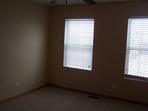 25216 Spring St, Manhattan, IL 60442 photo 11