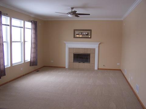 25216 Spring St, Manhattan, IL 60442 photo 5