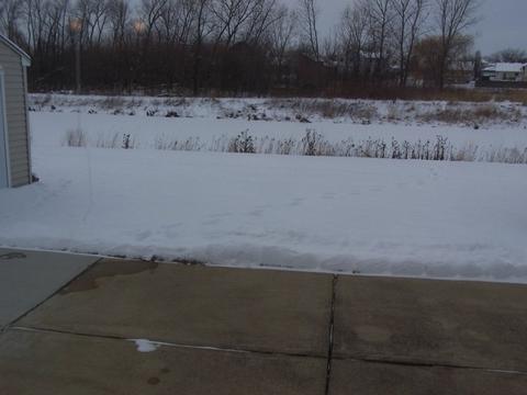 25216 Spring St, Manhattan, IL 60442 photo 17