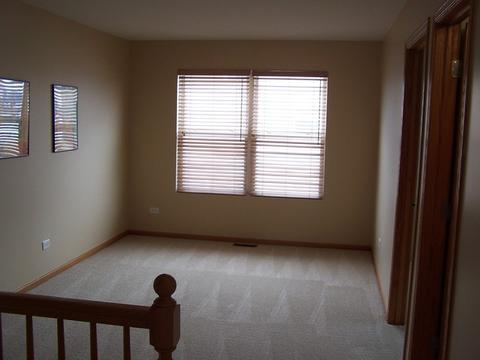 25216 Spring St, Manhattan, IL 60442 photo 6