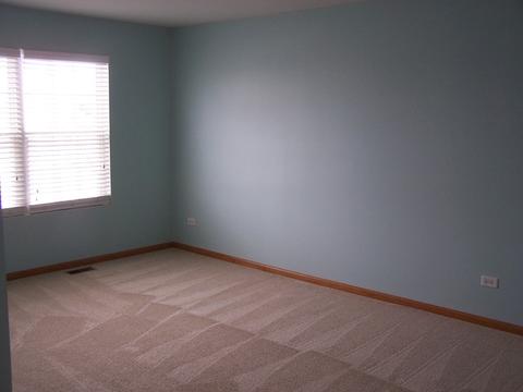 25216 Spring St, Manhattan, IL 60442 photo 7