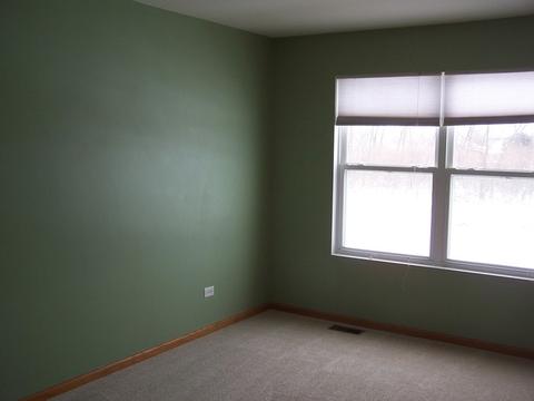 25216 Spring St, Manhattan, IL 60442 photo 10