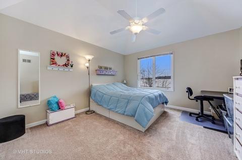 13404 Skyline Dr, Plainfield, IL 60585 photo 23