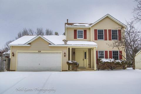 1214 Cimarron Dr, Cary, IL 60013 photo 1